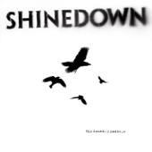 Shinedown - Sin with a Grin