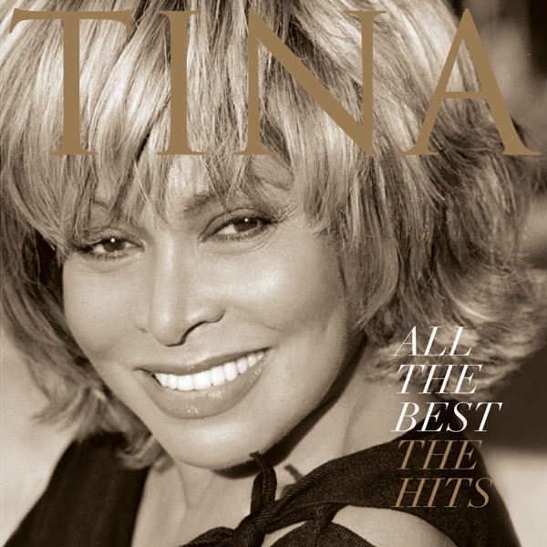 TINA TURNER WE DON'T NEED ANOTHER HERO