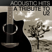 Acoustic Hits - A Tribute to U2 - Lacey & Sara