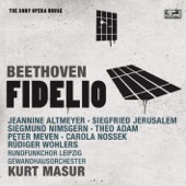 Beethoven: Fidelio artwork