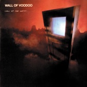 Wall of Voodoo - Mexican Radio