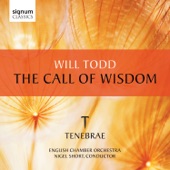 Will Todd: The Call of Wisdom artwork