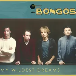 My Wildest Dreams Single - The Bongos My Wildest Dreams Single - The Bongos