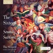 Sounds Sublime (The Essential Collection) artwork