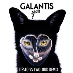 You (Tiësto vs. Twoloud Radio Edit) - Single