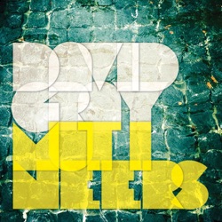 David Gray - Back in the World