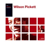 Wilson Pickett - Hey Joe (Remastered Single Version)