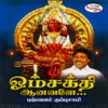 Pushpavanam Kuppusamy & Sowmya - Thaervarudhu