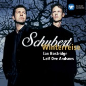 Schubert: Winterreise artwork