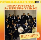 Teijo Joutsela - Puuseppä
