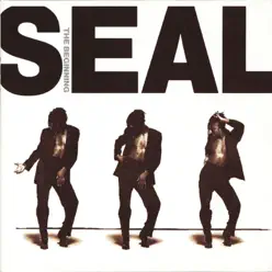 The Beginning - Seal