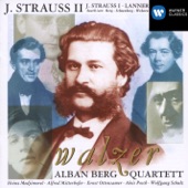 J. Strauss II: Waltzes artwork