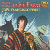 Master of the Indian Flutes artwork