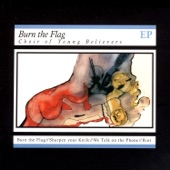 Burn the Flag artwork