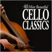 Cello Concerto in B minor Op.104 : II Adagio, ma non troppo artwork