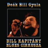 Bill Kapitány Blues Cirkusza artwork