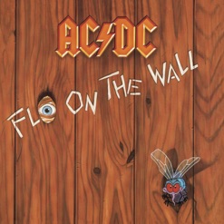 FLY ON THE WALL cover art