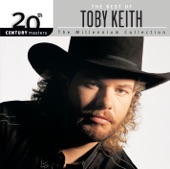 Toby Keith - You Ain't Much Fun