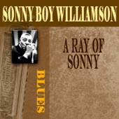A Ray of Sonny artwork