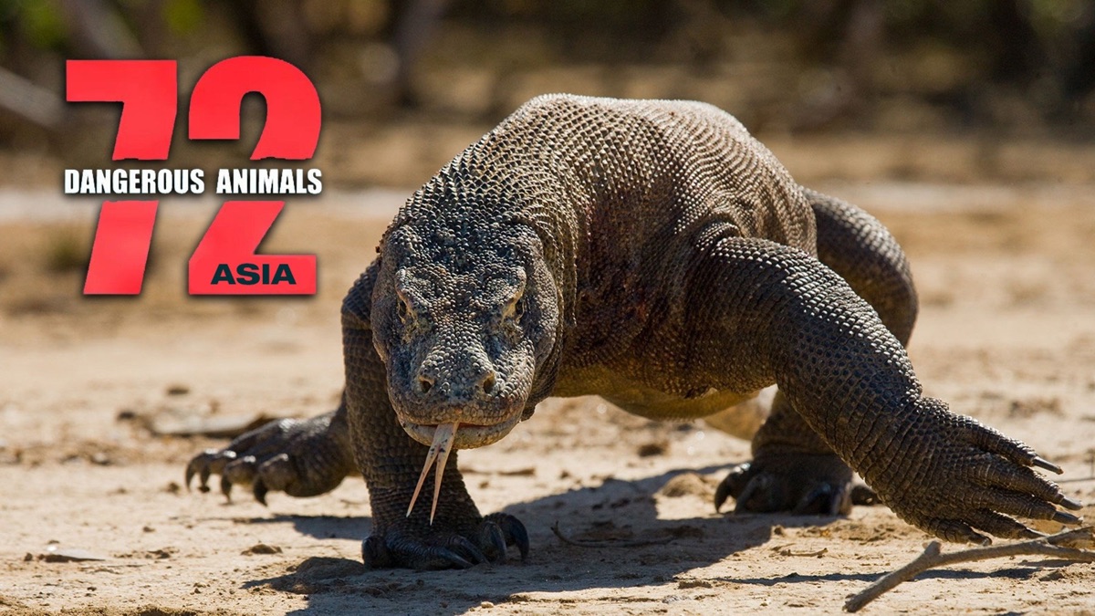 72-dangerous-animals-asia-apple-tv