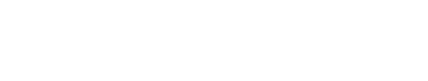 リーシーの物語