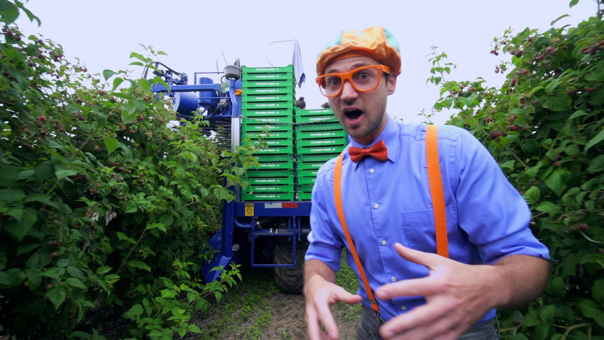 Blippi Visits A Raspberry Factory - Blippi - Apple TV