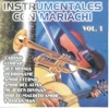 Mariachi Sayula - Por Tu Maldito Amor
