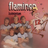 Flamingokvintetten 12 artwork