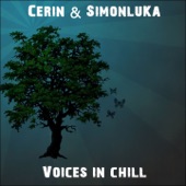 Voices In Chill artwork