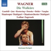 Wagner: Die Walkure (Ring Cycle 2) artwork