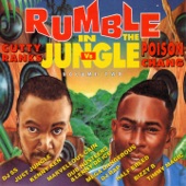 Rumble in the Jungle, Vol. 2 artwork