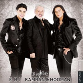 Remembrance of Ebi & Kamran and Hooman artwork