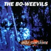 The Bo-Weevils - Planetarium