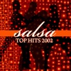Salsa Top Hits 2002