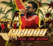 Shaggy - Feel the Rush