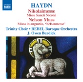 Haydn, J.: Masses, Vol. 3 - Masses Nos. 6, "Nikolaimesse" and 11, "Nelsonmesse" artwork