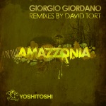 Amazzonia (David Tort Remix)