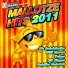 Mallotze Hits 2011