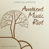 Ambient Music Riot, Collection 2
