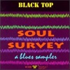 Soul Survey: Blues Sampler