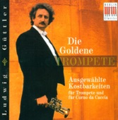 Concerto for 2 Trumpets In D Major (arr. L. Guttler): II. Andante (arr. L. Guttler) artwork