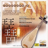Chinese Music Classics of the 20th Century: Pipa I artwork
