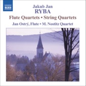 Ryba: 2 String Quartets, 2 Flute Quartets artwork