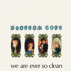 We Are Ever So Clean - Blossom Toes