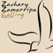 Calling (Dub Mix) - Zachary Zamarripa lyrics