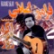 Aahooye Vahshi - Faramarz Aslani lyrics