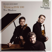 Piano Trio No. 2, Op. 100, D. 929: II. Andante con Moto - Trio Wanderer