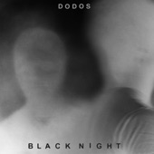 The Dodos - Black Night