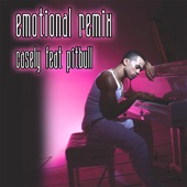 Emotional Pitbull Remix (feat. Pitbull) artwork