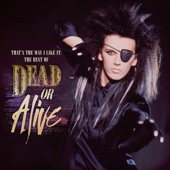 That's the Way I Like It: The Best of Dead or Alive artwork